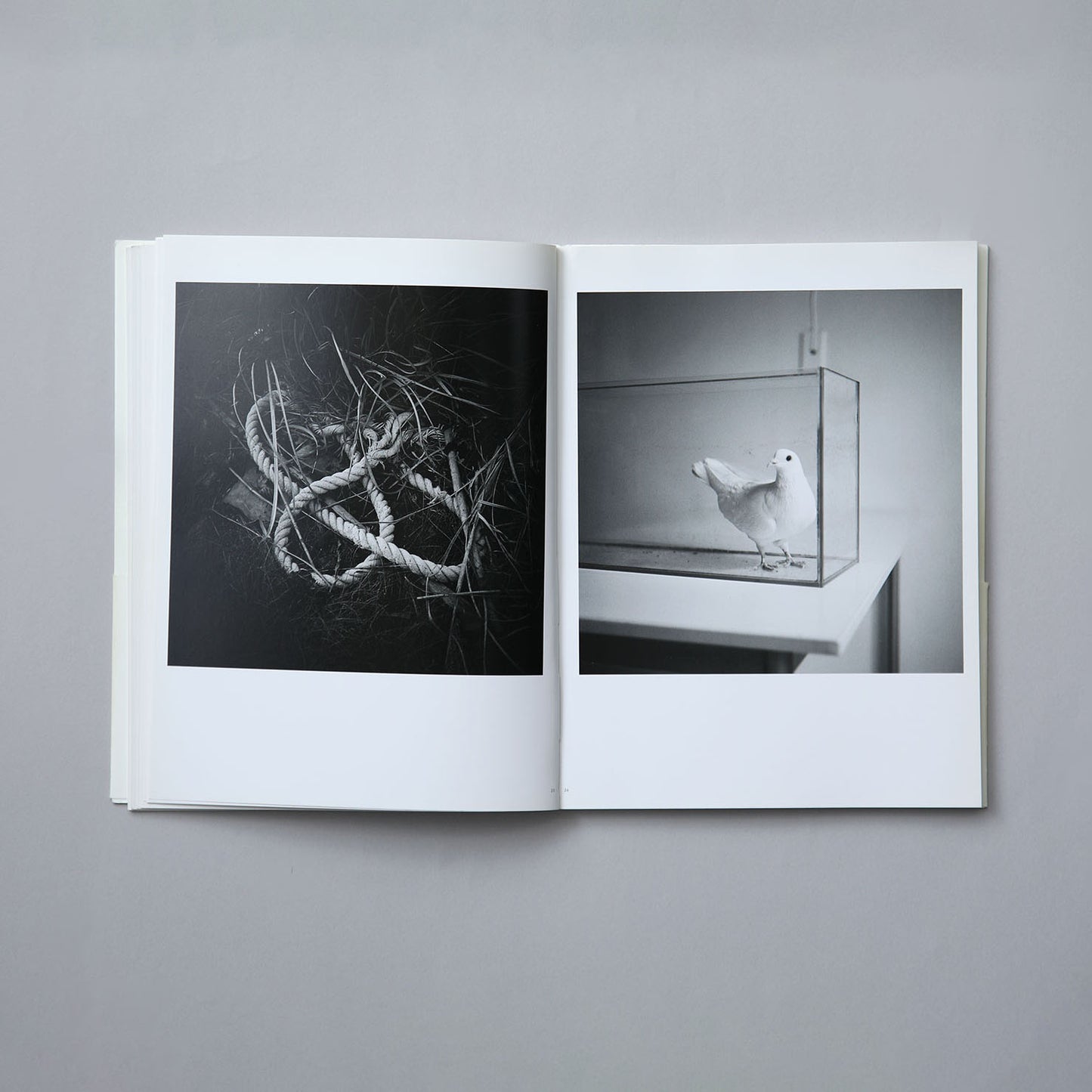 On Photography