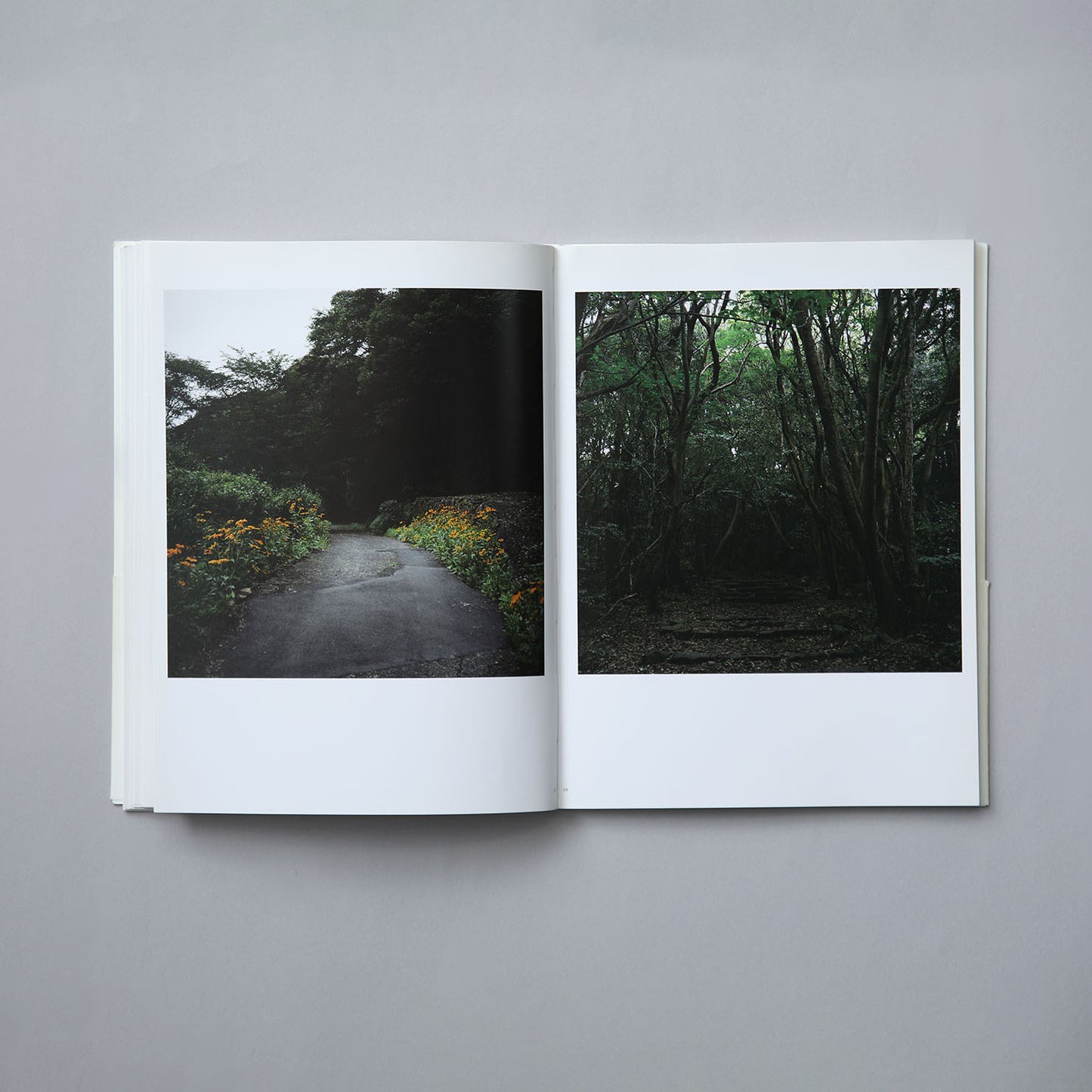 On Photography