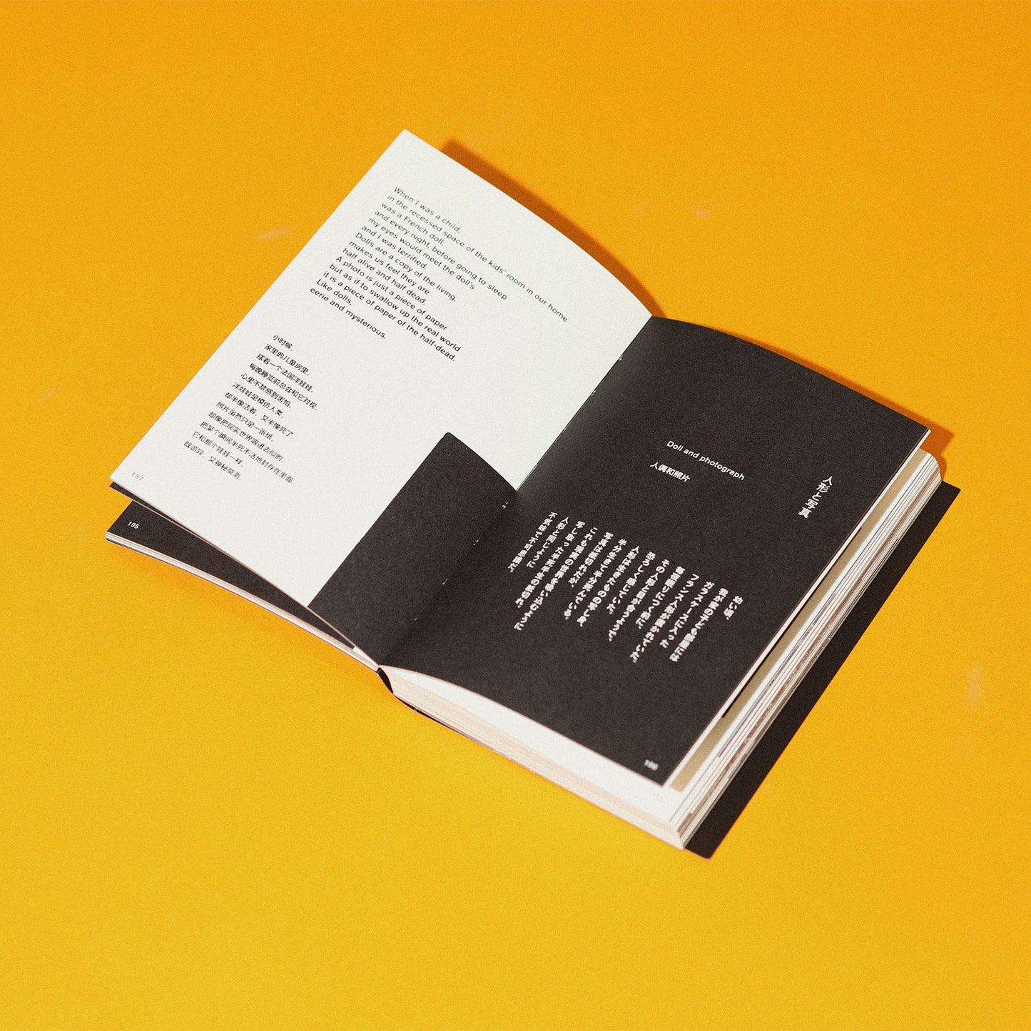 ［新装版］写真の中の君は何を見ている